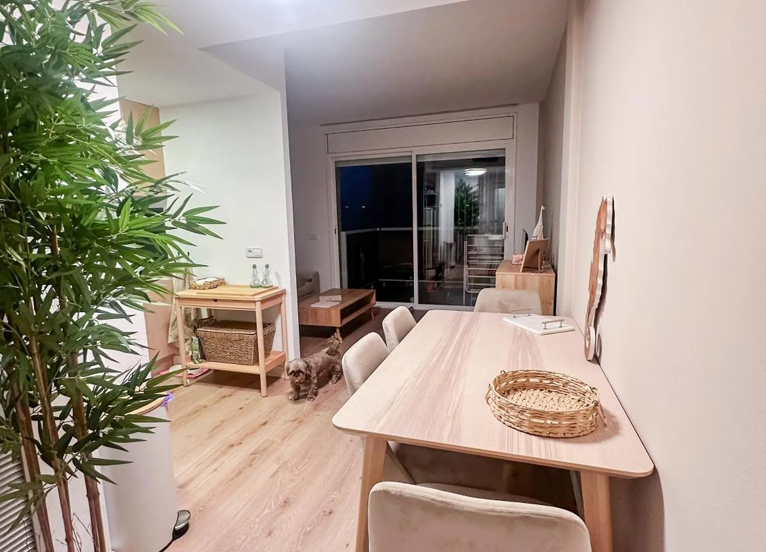 Apartamento Casa Gallardo Blanes Apartment